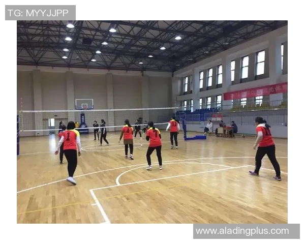 广州排球队战术创新引领潮流排球战术排名再创佳绩