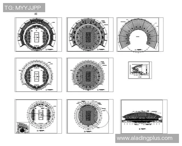 南京网球队的控制得失分析与未来发展展望